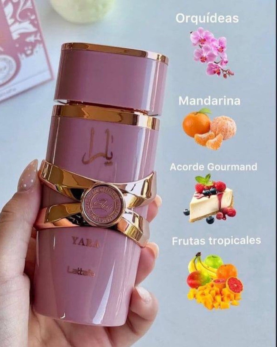 Lattafa Asad Elixir 100ml